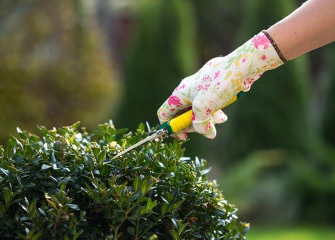 Illustration representing essential cookies for Gardeners Slade Green