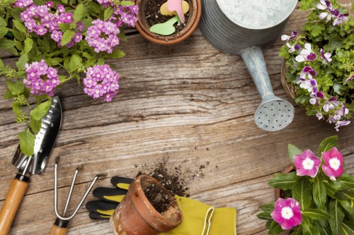 Professional gardening services in Slade Green for tidy outdoor spaces