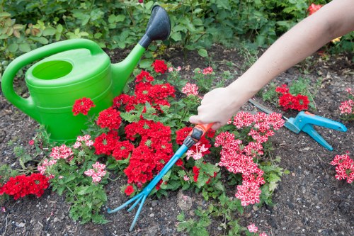 Seasonal lawn treatment in Slade Green for healthy grass