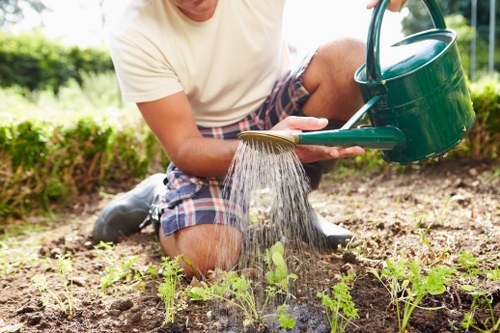Professional garden care in Slade Green with trimmed hedges and lawn