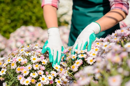 Local gardeners quote process for gardens near busy Slade Green streets