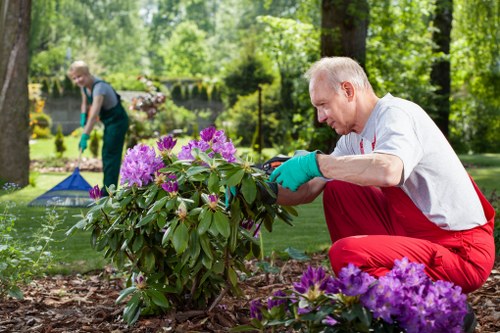 Seasonal planting and pruning by Slade Green gardeners
