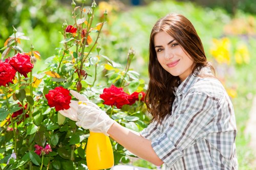 Professional garden maintenance in a Slade Green outdoor space