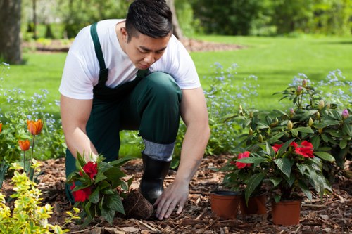 Risk assessed garden maintenance work carried out in Slade Green