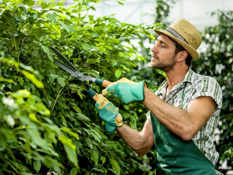 Lawn mowing and garden maintenance in Slade Green