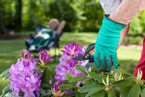 Professional lawn care in Slade Green with mowing and edging