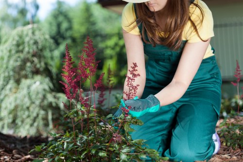 Hedge trimming and garden clearance services in Slade Green