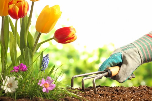 Free quote information for local garden maintenance and clearance
