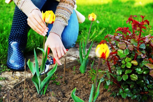 Well maintained garden borders and lawn in Slade Green