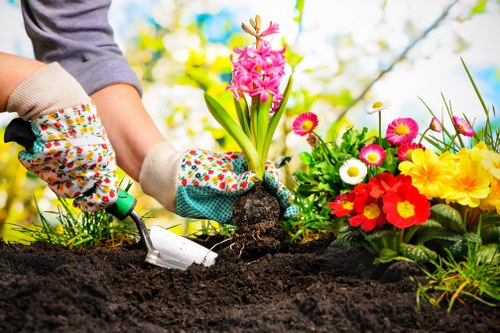Professional hedge maintenance for Slade Green properties