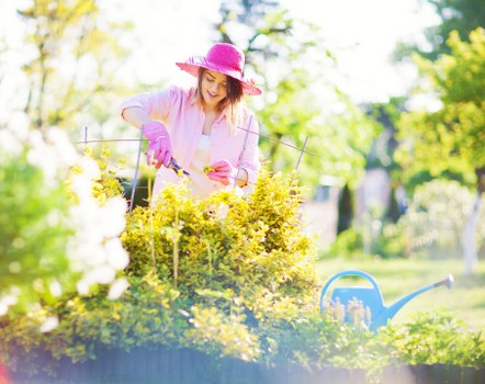 Booking and payment terms for garden services