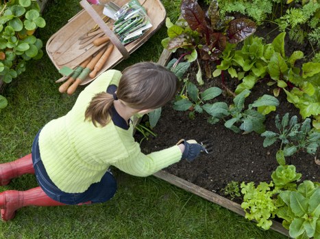 Skilled gardeners improving a Slade Green home garden