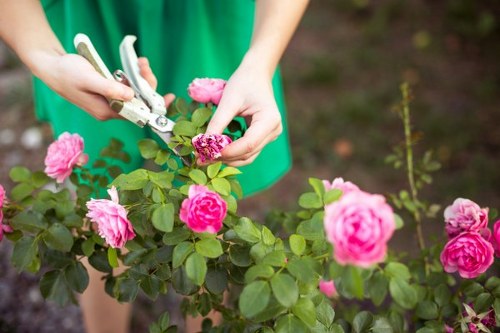 Keyboard navigation and usability for Gardeners Slade Green