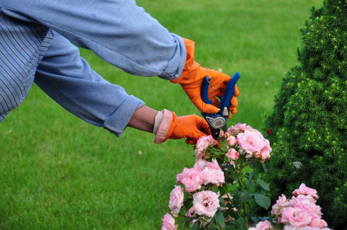 Seasonal garden maintenance in Slade Green with healthy plants and clean edges