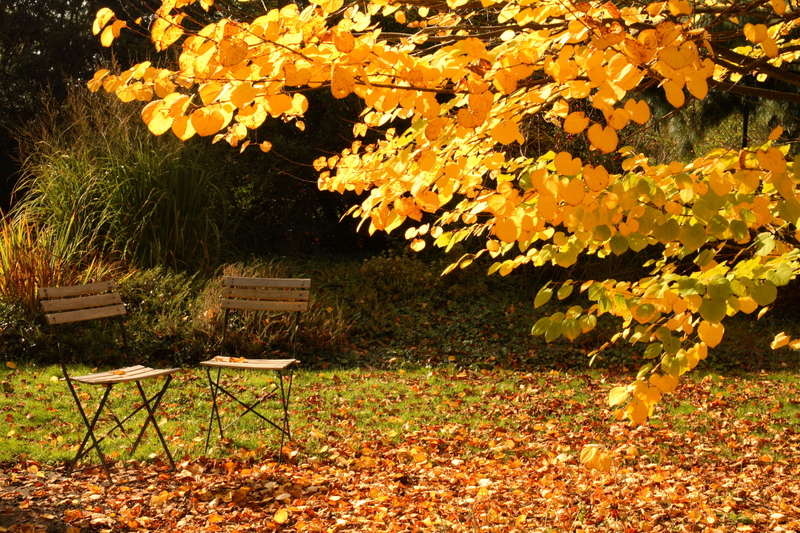 Garden outdoor space